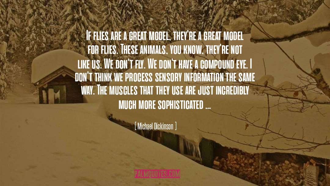 Sensory Processing quotes by Michael Dickinson