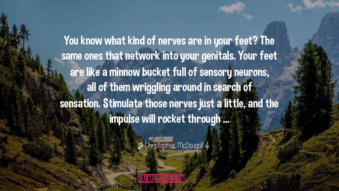 Sensory Smarts quotes by Christopher McDougall