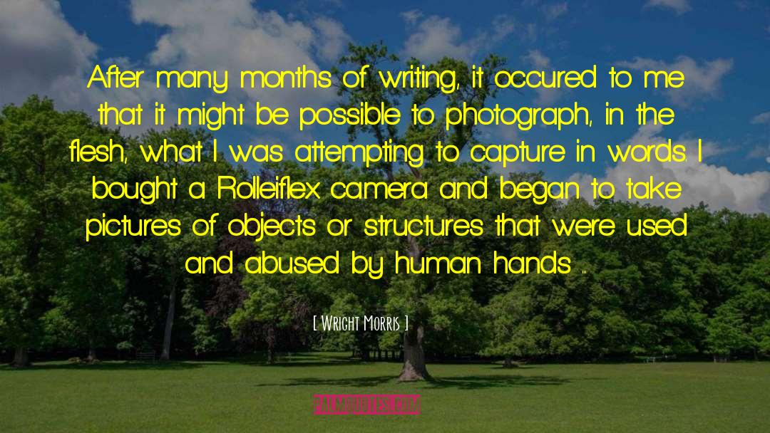 Sentence Structure quotes by Wright Morris