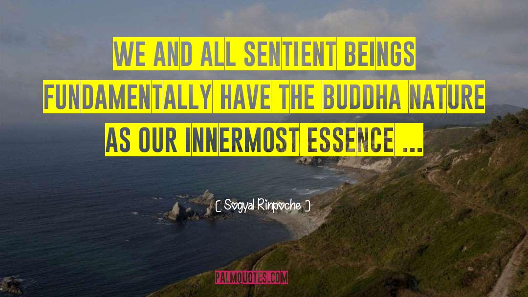 Sentient Beings quotes by Sogyal Rinpoche