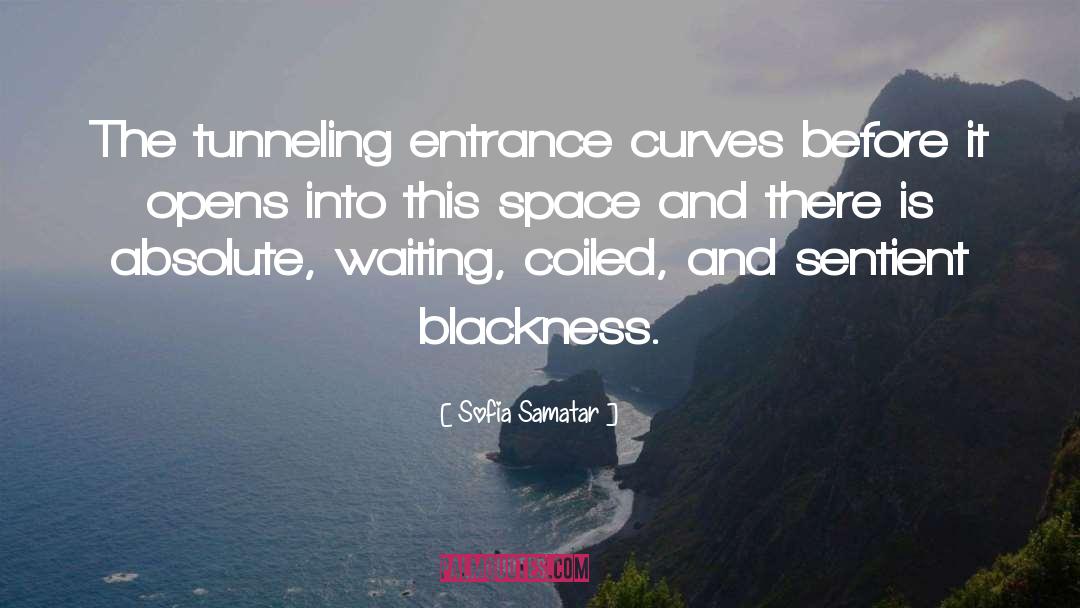 Sentient quotes by Sofia Samatar