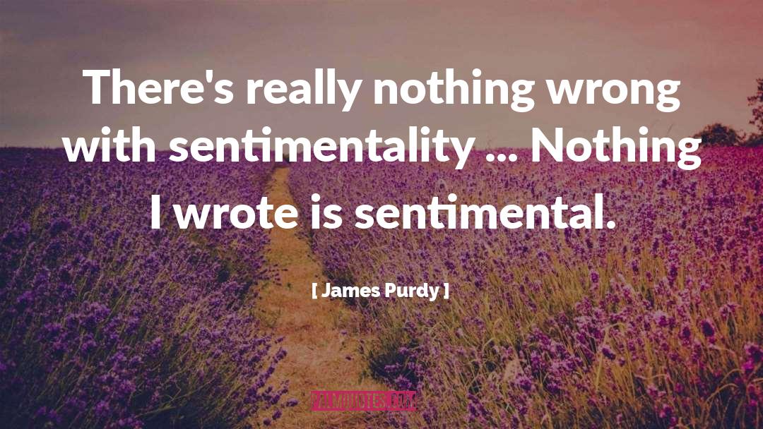 Sentimental quotes by James Purdy