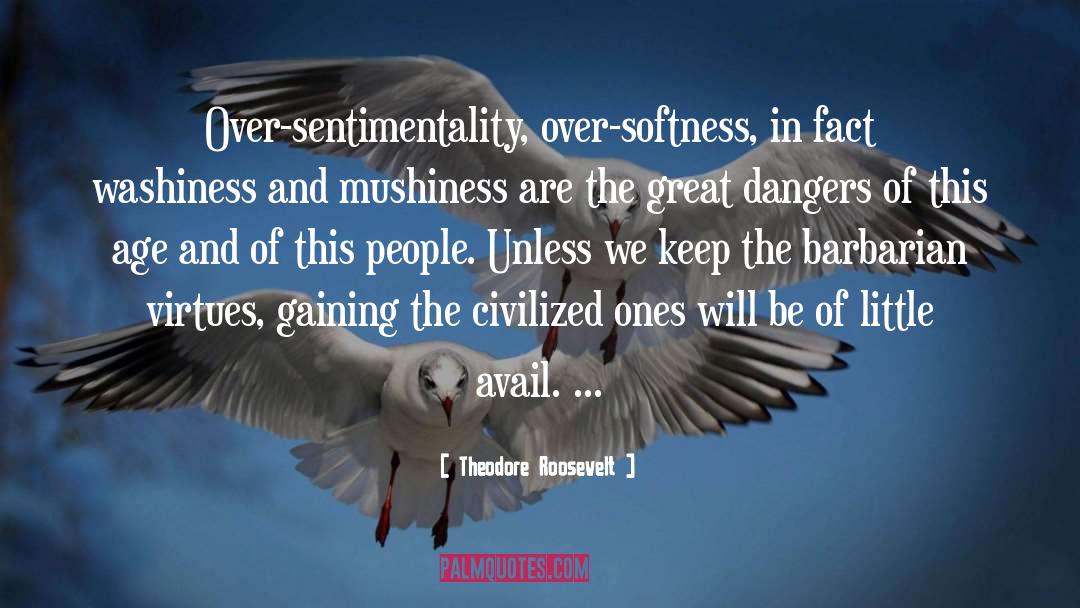 Sentimentality quotes by Theodore Roosevelt