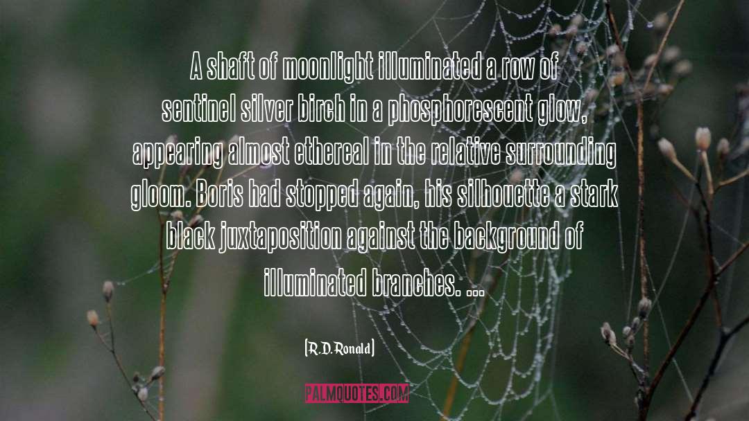 Sentinel quotes by R.D. Ronald