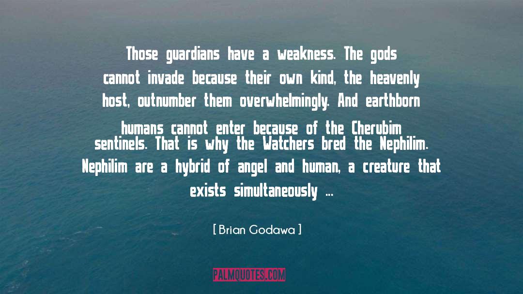 Sentinels quotes by Brian Godawa