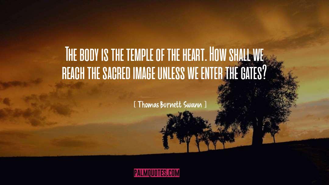 Seonggok Temple quotes by Thomas Burnett Swann