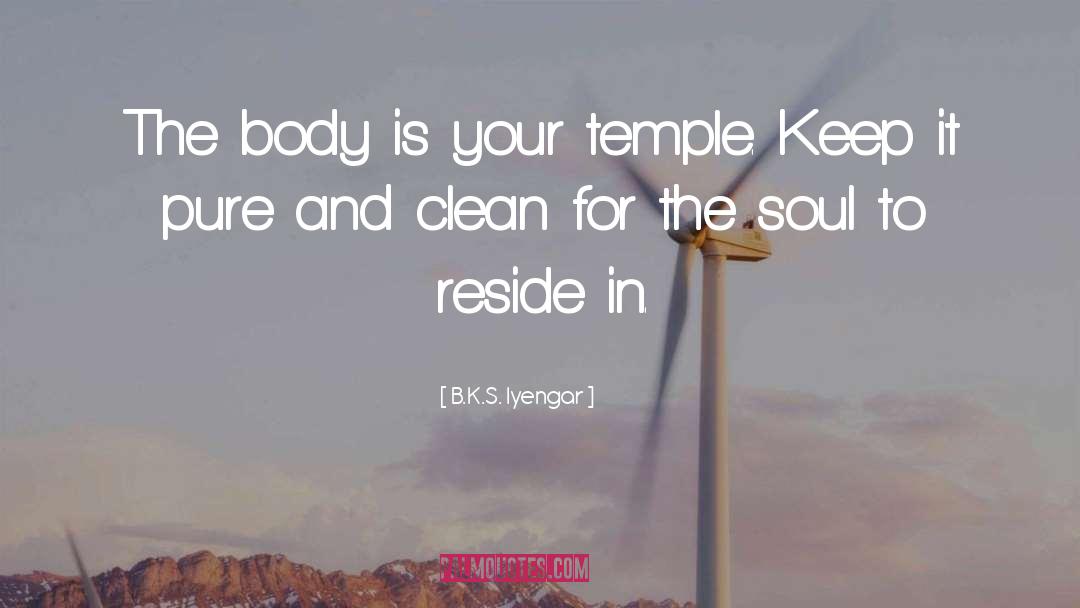 Seonggok Temple quotes by B.K.S. Iyengar