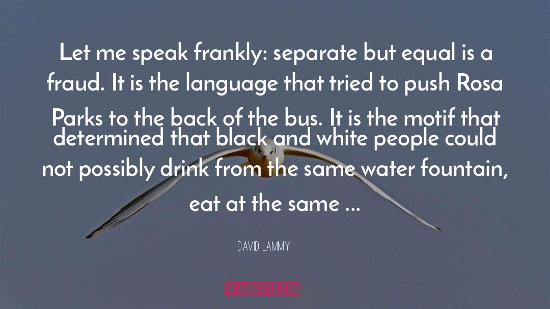 Separate But Equal quotes by David Lammy