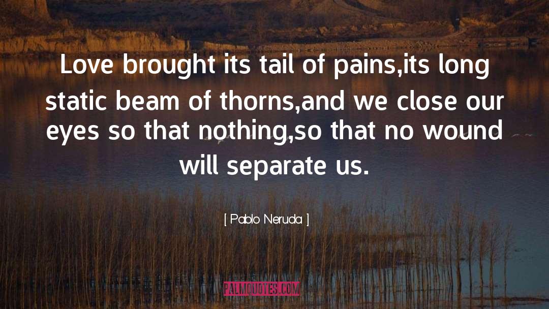 Separate Peace quotes by Pablo Neruda