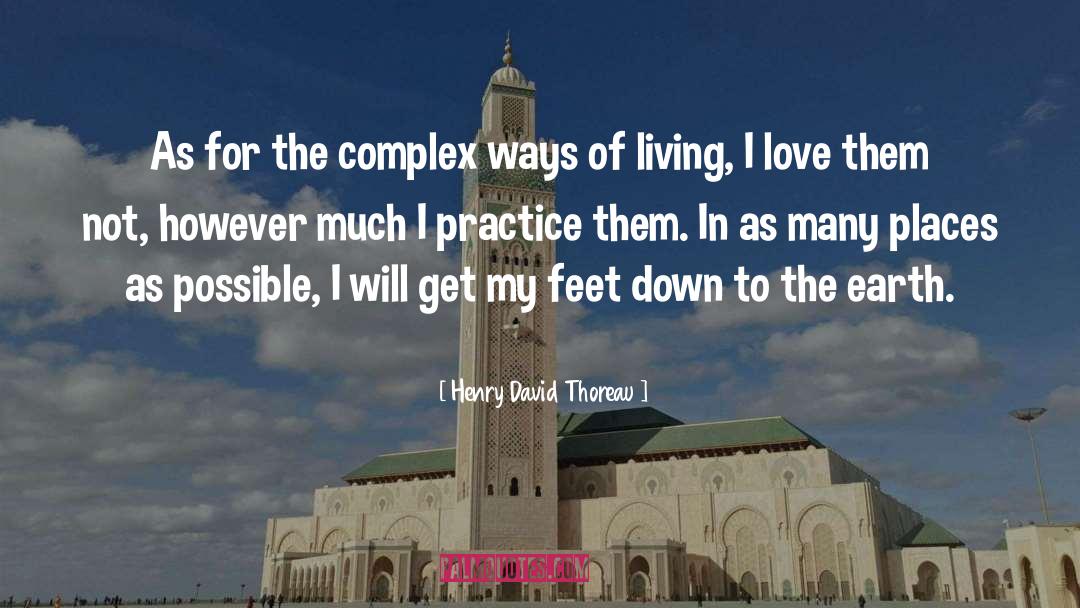 Separate Ways quotes by Henry David Thoreau