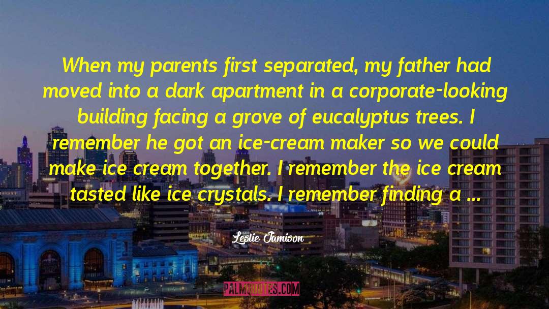 Separated Father quotes by Leslie Jamison