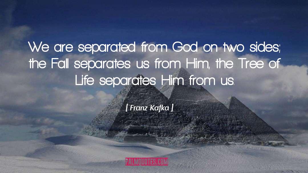 Separated quotes by Franz Kafka