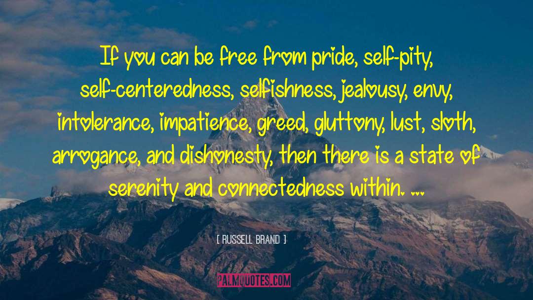 Separateness Connectedness quotes by Russell Brand