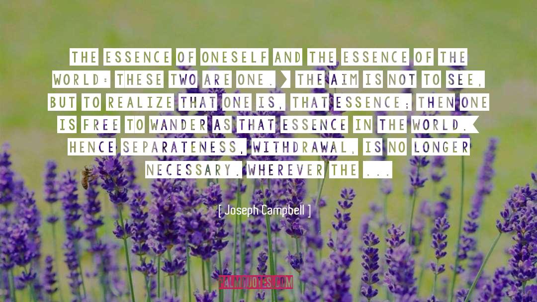 Separateness quotes by Joseph Campbell