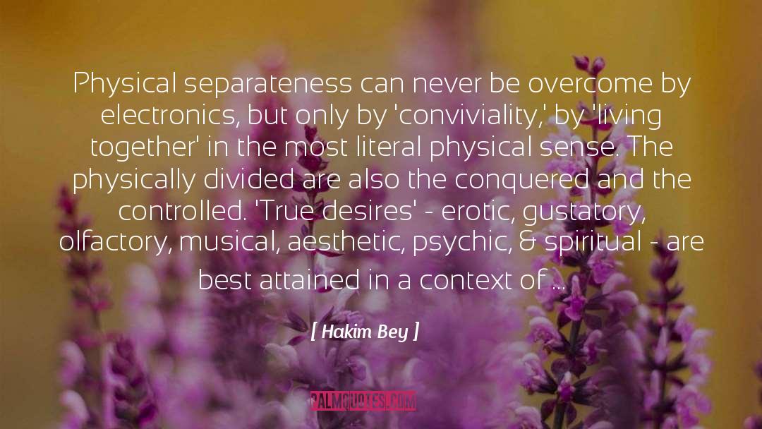 Separateness quotes by Hakim Bey