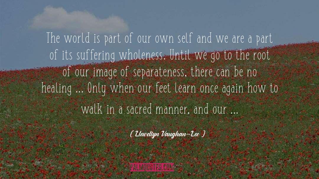 Separateness quotes by Llewellyn Vaughan-Lee