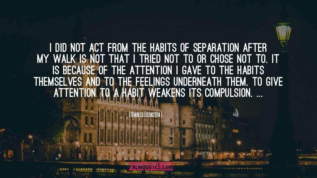 Separation quotes by Charles Eisenstein