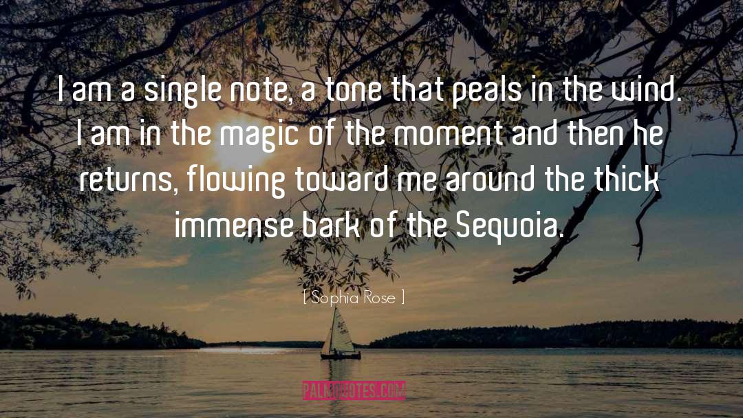 Sequoia quotes by Sophia Rose