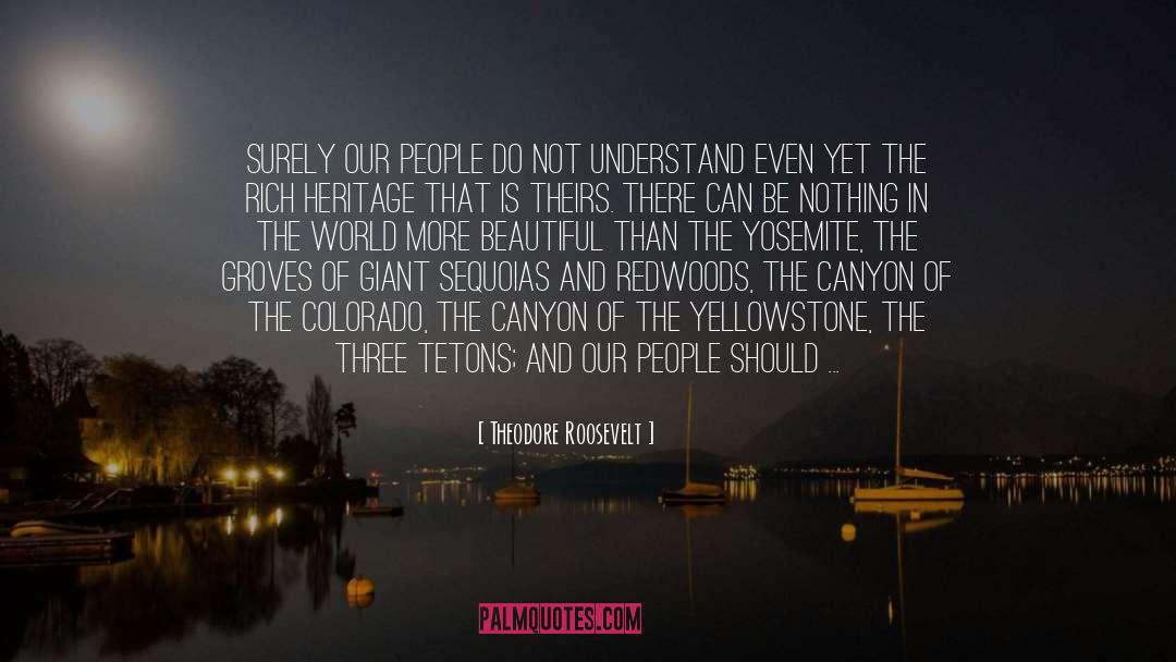 Sequoias quotes by Theodore Roosevelt