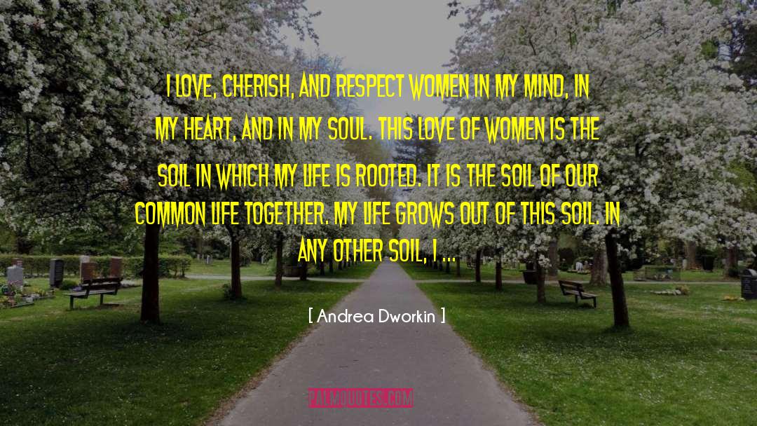 Serenade Our Soul quotes by Andrea Dworkin