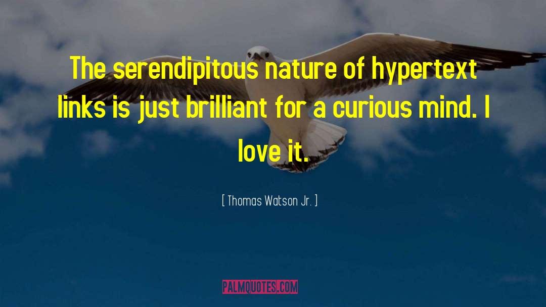 Serendipitous quotes by Thomas Watson Jr.
