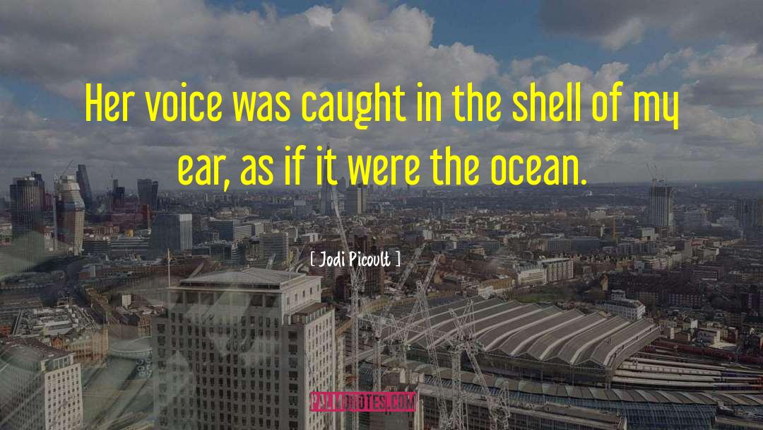 Serene Ocean quotes by Jodi Picoult