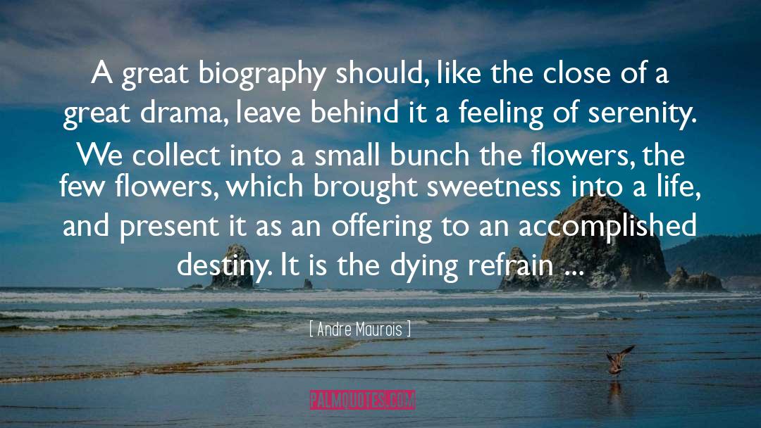 Serenity quotes by Andre Maurois