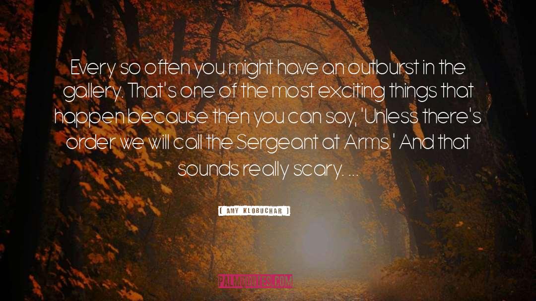 Sergeants quotes by Amy Klobuchar