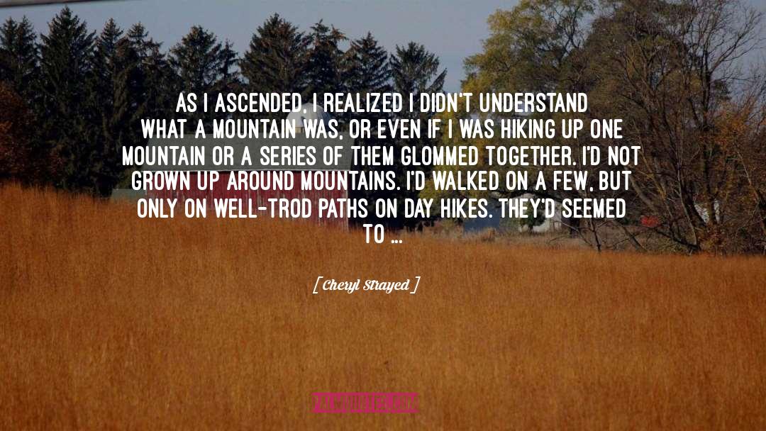 Series Debut quotes by Cheryl Strayed