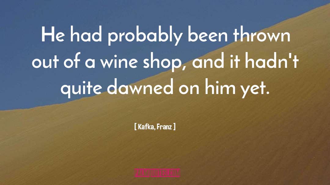 Serious Alcohol quotes by Kafka, Franz