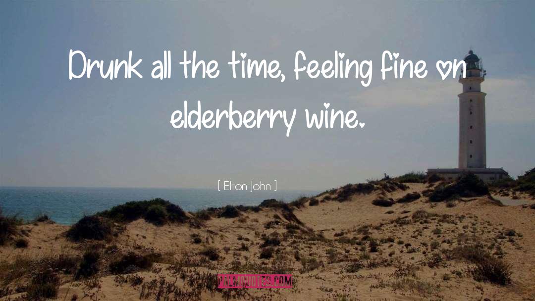Serious Alcohol quotes by Elton John