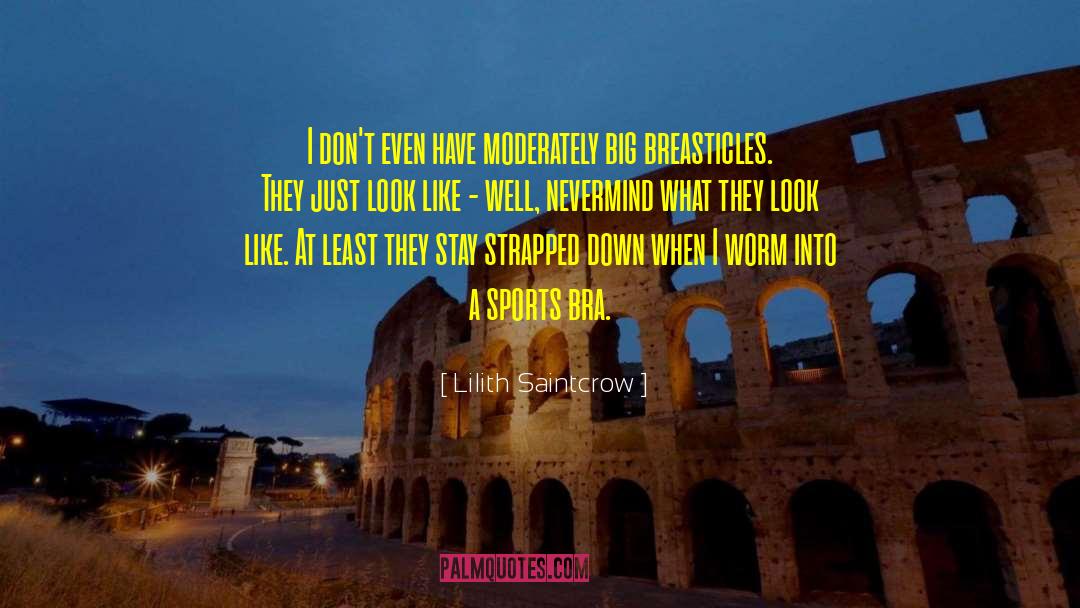 Serious Look quotes by Lilith Saintcrow