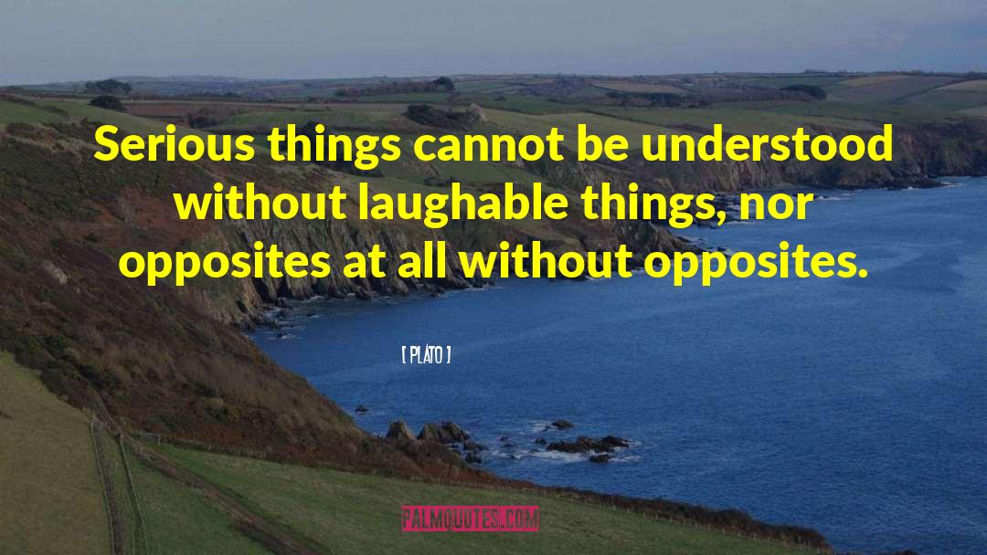 Serious Things quotes by Plato