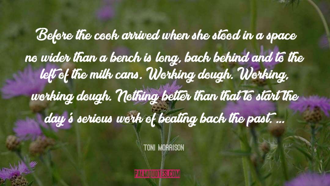 Serious Work quotes by Toni Morrison