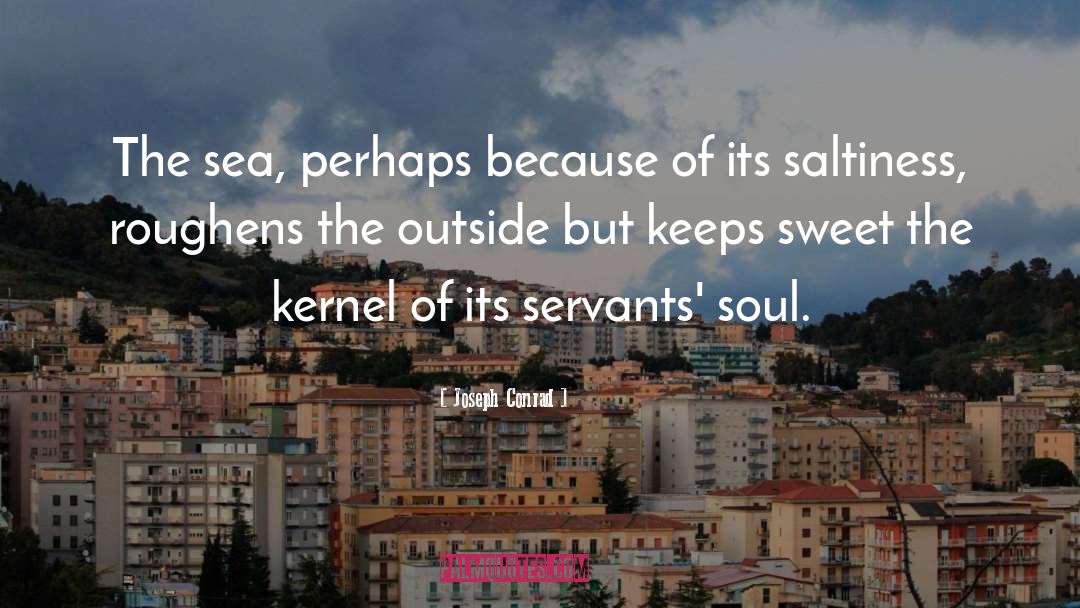 Servants quotes by Joseph Conrad