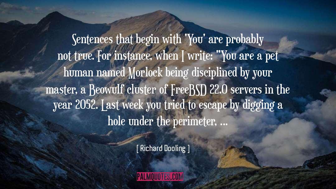 Servers quotes by Richard Dooling