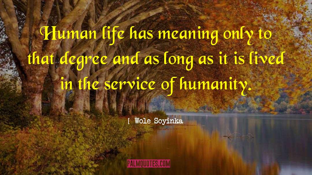 Service Of Humanity quotes by Wole Soyinka