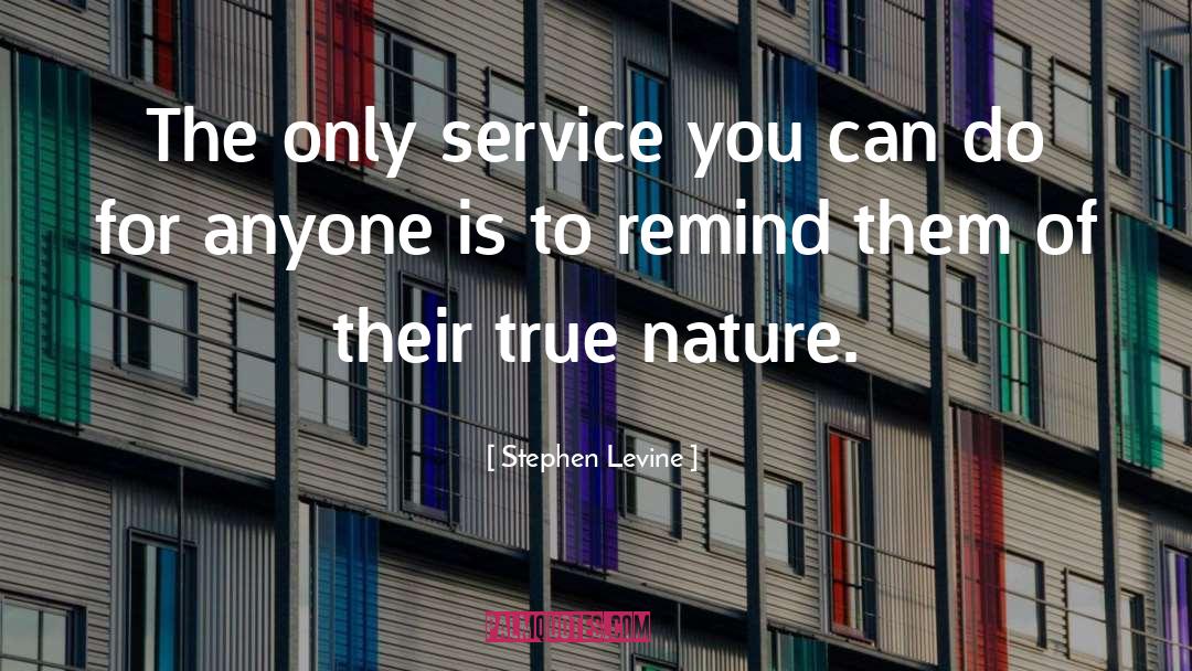 Service quotes by Stephen Levine