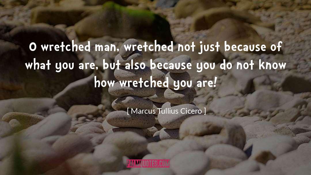 Servietten quotes by Marcus Tullius Cicero