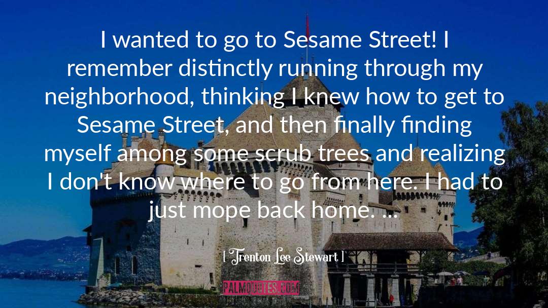 Sesame quotes by Trenton Lee Stewart