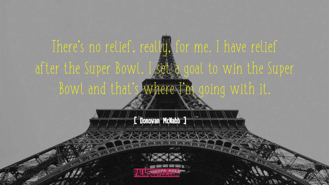 Set A Goal quotes by Donovan McNabb