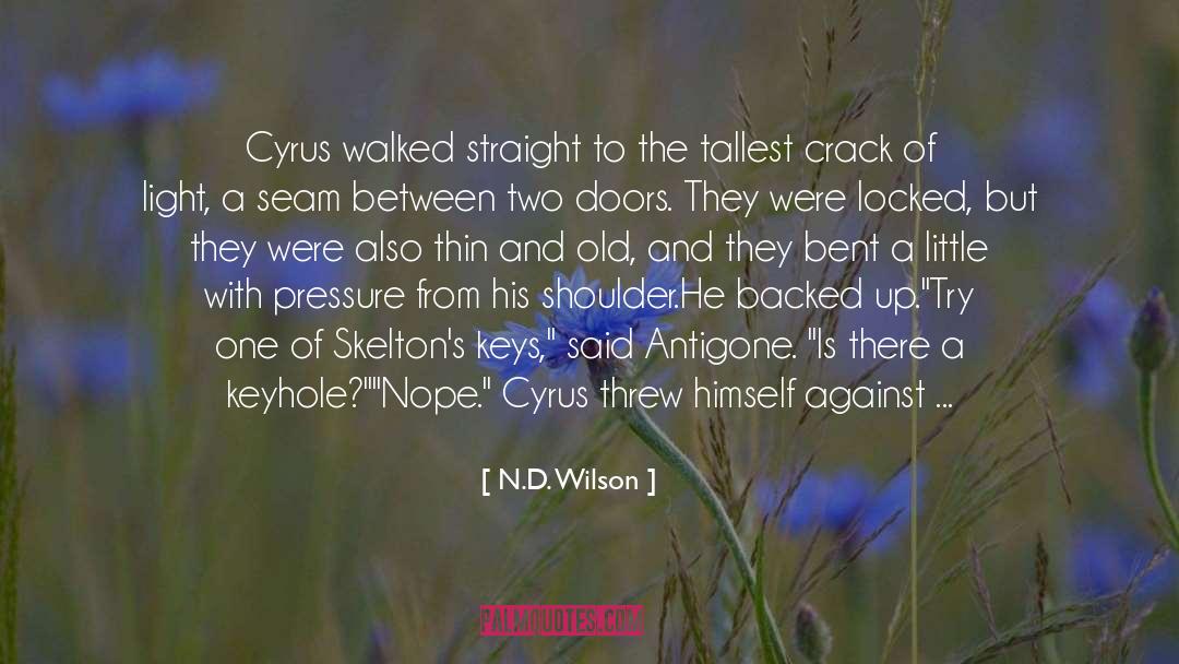 Set In Stone quotes by N.D. Wilson