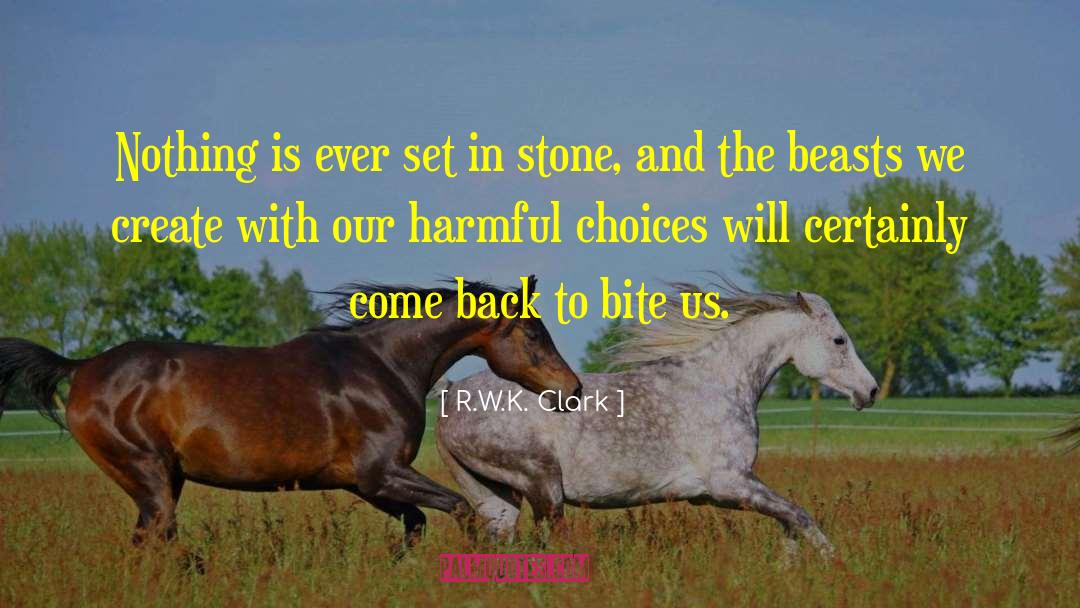 Set In Stone quotes by R.W.K. Clark