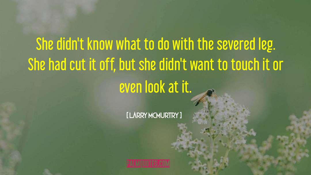 Set It Off quotes by Larry McMurtry