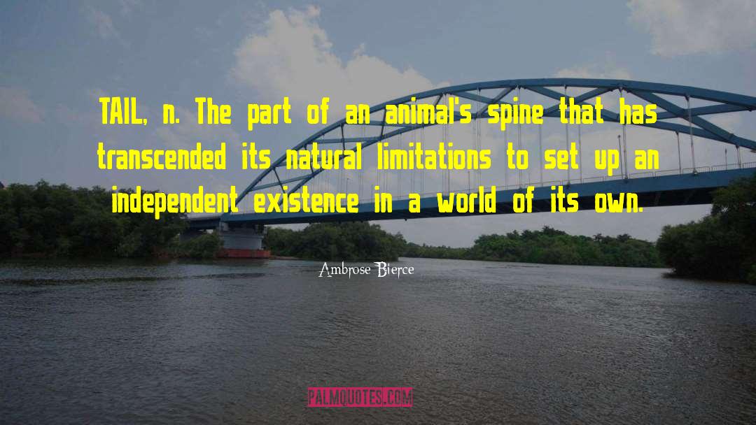 Set The World Ablaze quotes by Ambrose Bierce