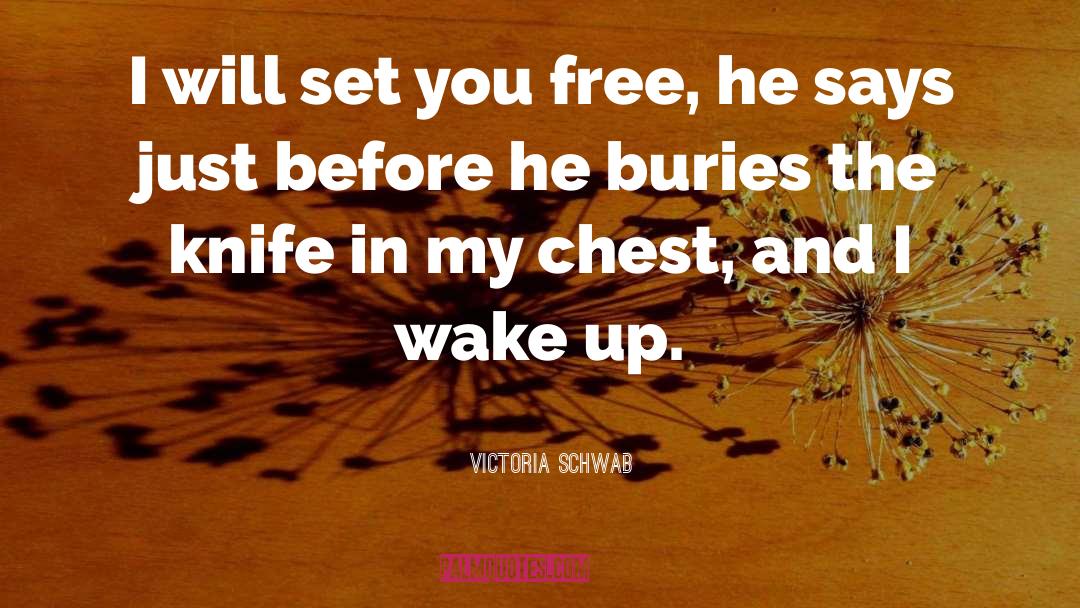 Set You Free quotes by Victoria Schwab