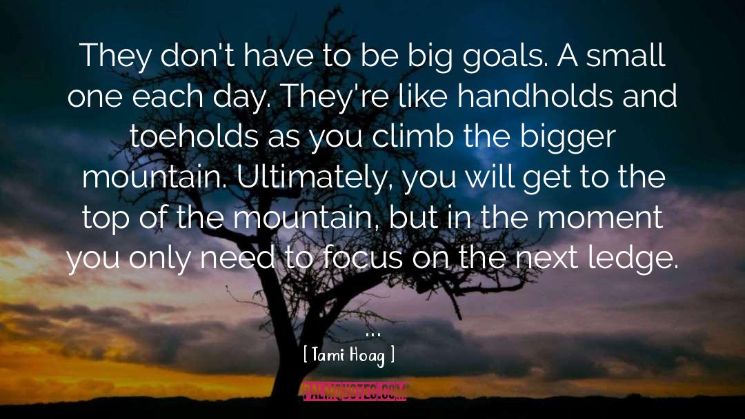 Setting Big Goals quotes by Tami Hoag