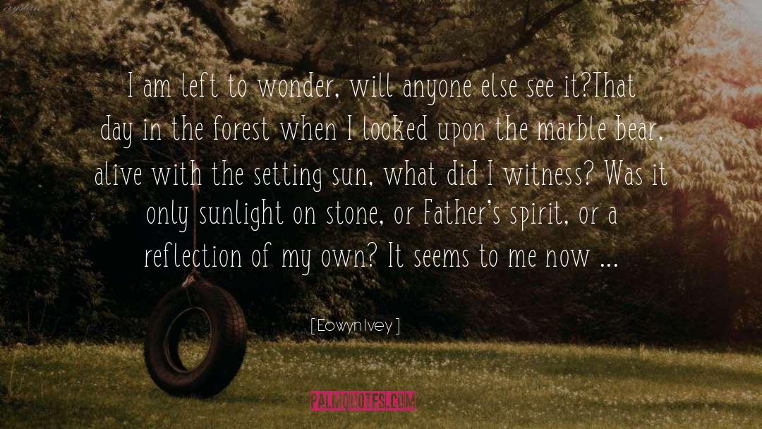 Setting Sun quotes by Eowyn Ivey