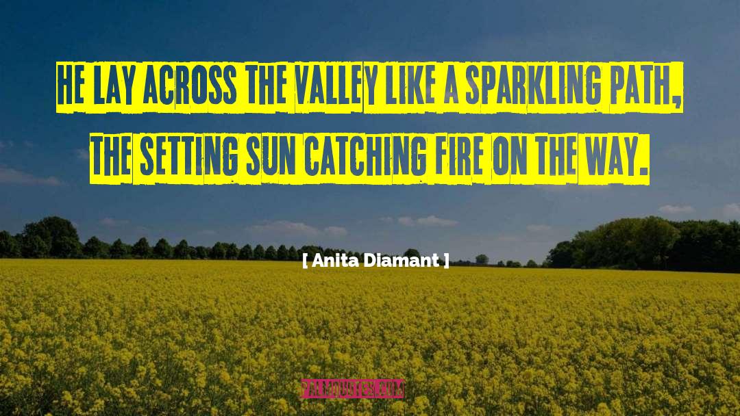 Setting Sun quotes by Anita Diamant