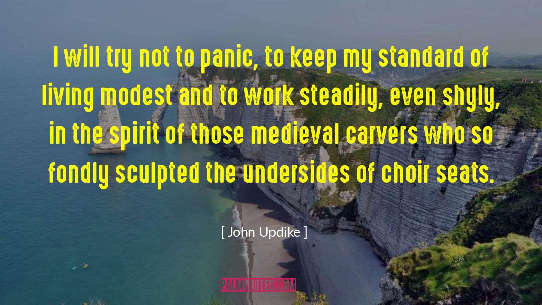 Setting The Standards quotes by John Updike